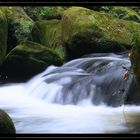 Ein Teil der Irreler Wasserfälle