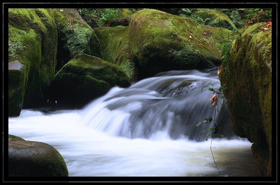 Ein Teil der Irreler Wasserfälle