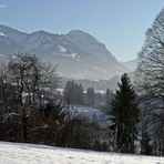 "Ein Teil der Sonnenköpfe und Rubi-Horn, Serien-Ende"