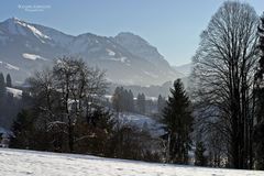 "Ein Teil der Sonnenköpfe und Rubi-Horn, Serien-Ende"