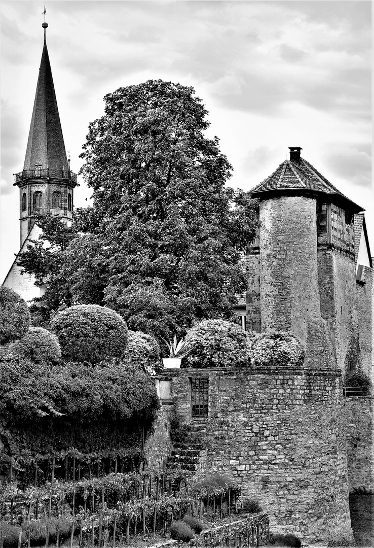 Ein Teil des Alchemiegartens am Schloß von Weikersheim