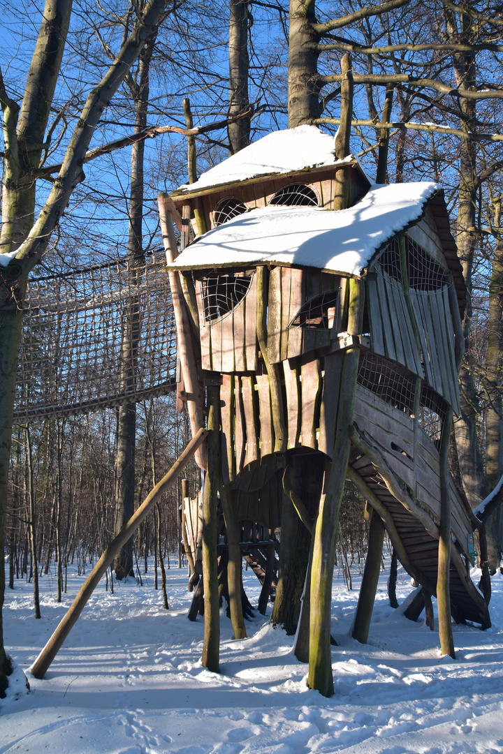 Ein Teil vom Baumhaus im Naturpark Fürtsenhagen