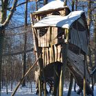 Ein Teil vom Baumhaus im Naturpark Fürtsenhagen