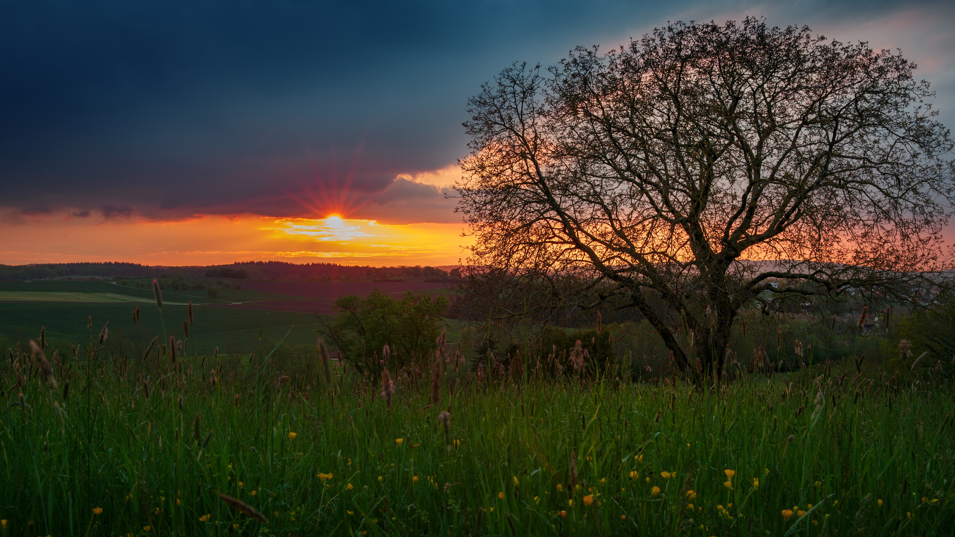 Ein Teil vom Frühling