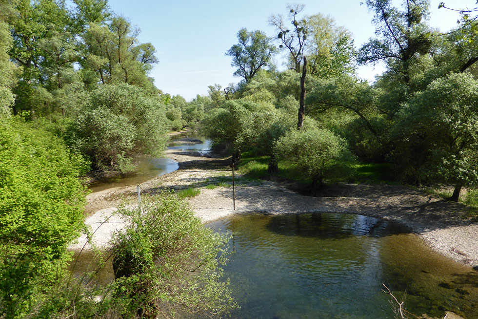 ein Teil vom Sauerdelta (Elsass)