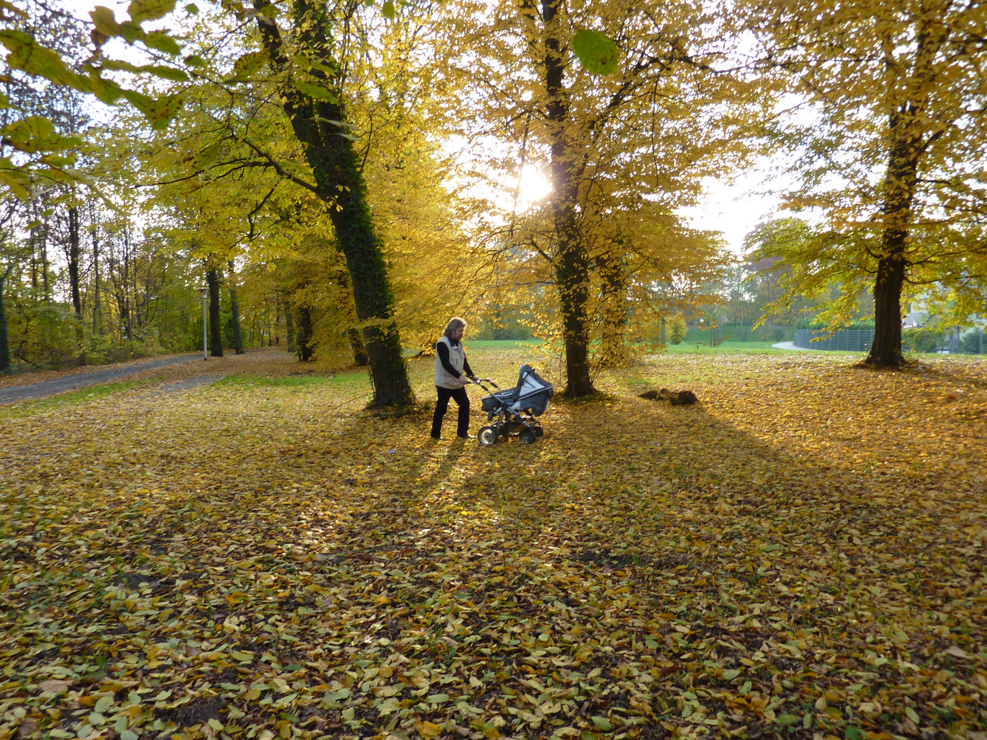 Ein Teppich , in grün, braun und gelb. Herbst, du bist wunderschön ...