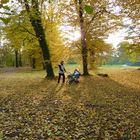 Ein Teppich , in grün, braun und gelb. Herbst, du bist wunderschön ...