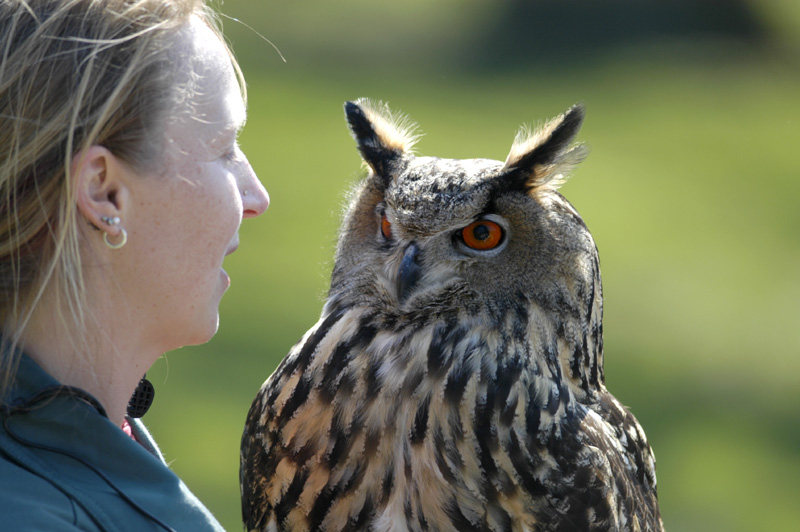 Ein tiefer Blick in die Augen