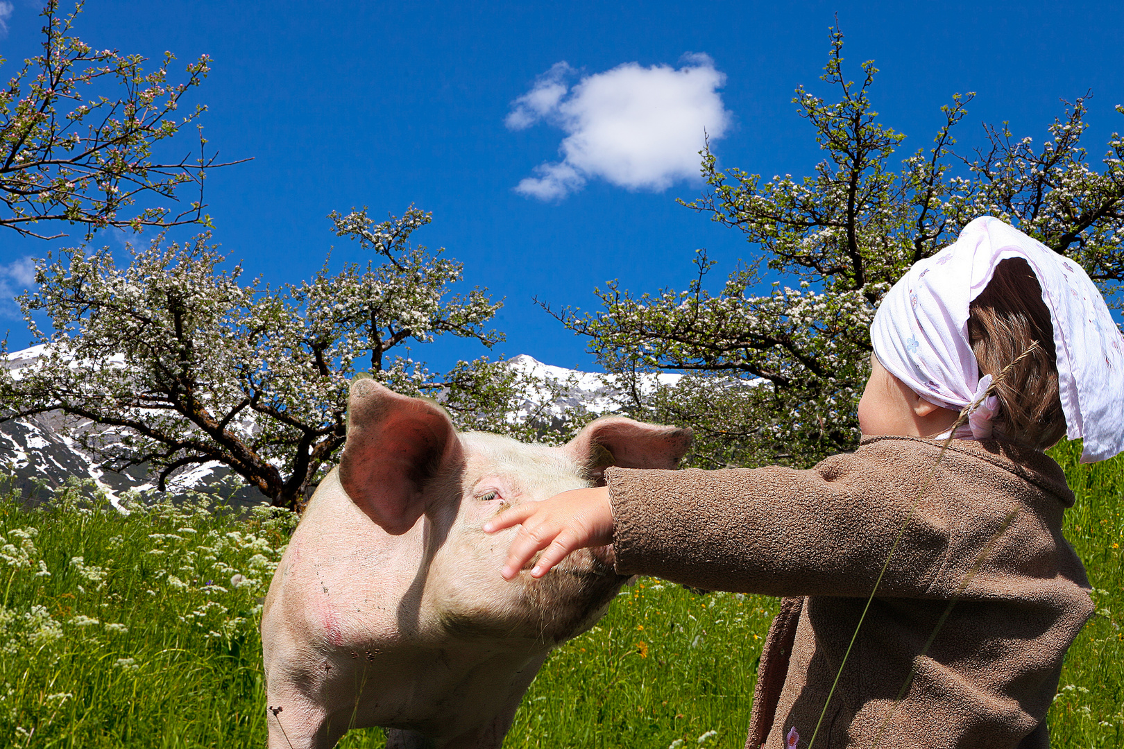 Ein Tierfreund zu sein gehört zu den größten seelischen Reichtümern des Lebens