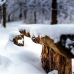 Ein Tischlein steht im Walde