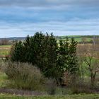 Ein Tollensetalpanorama 