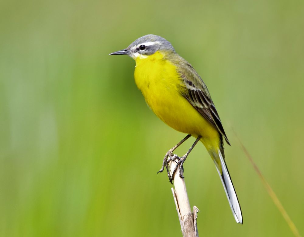 Ein toller Aussichtspunkt......