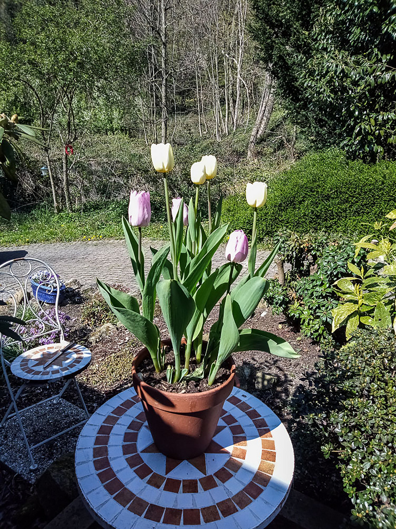 ein toller frühlingstag heute