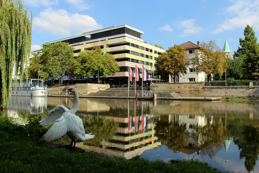 Ein toller Herbsttag am Neckar 