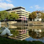 Ein toller Herbsttag am Neckar 