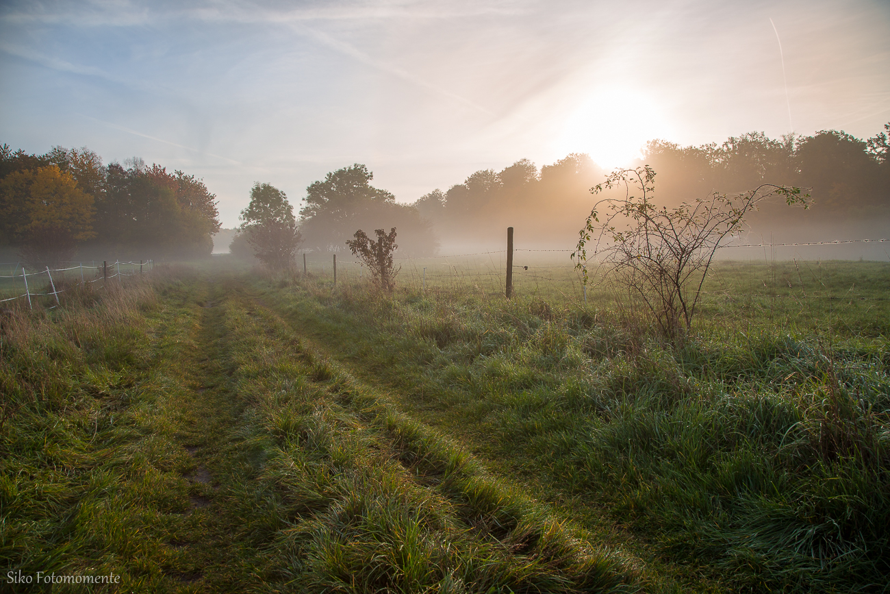 ein toller Oktobermorgen