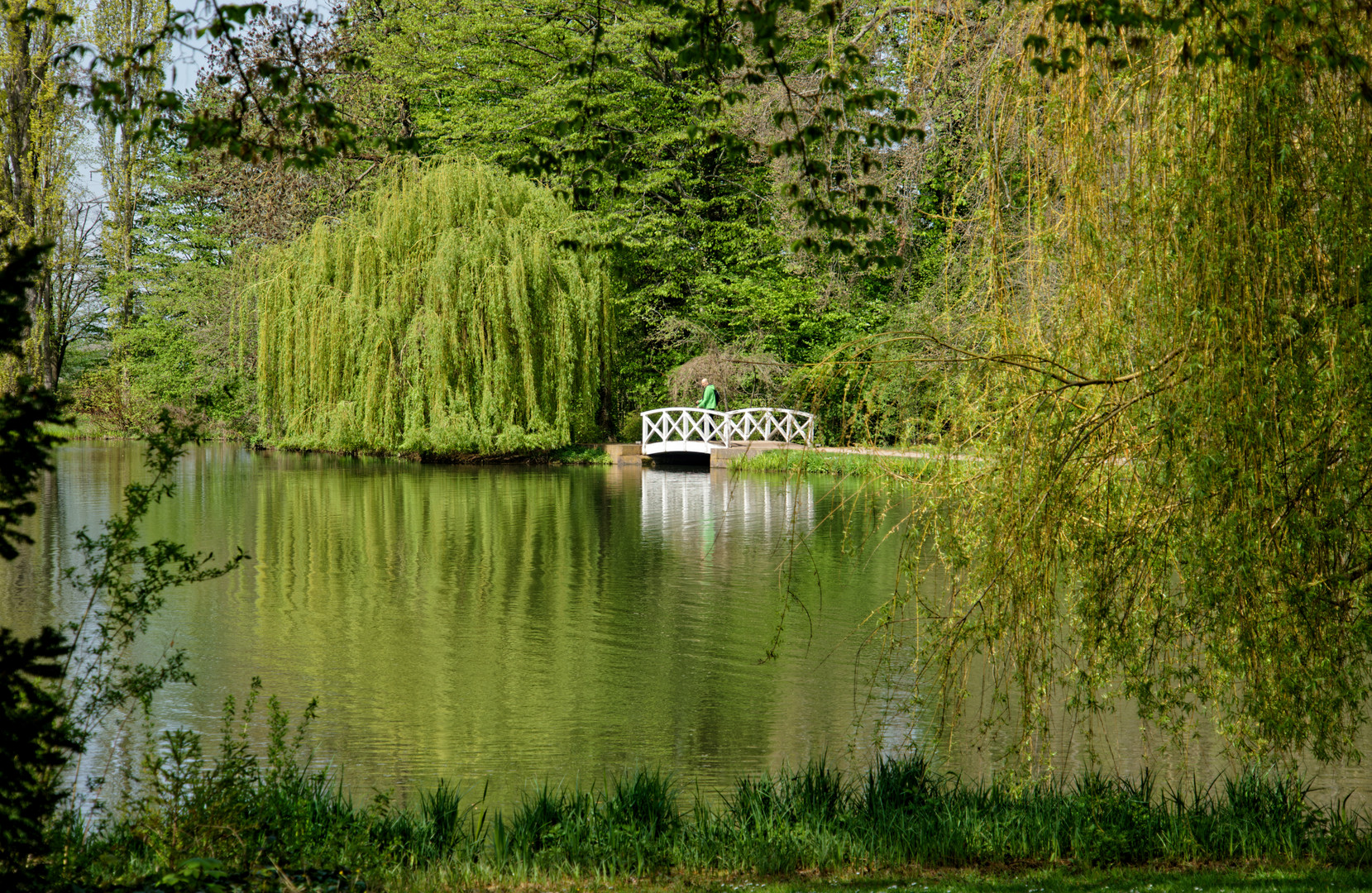 ein toller Tag im Park