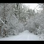 ein toller Weg.....