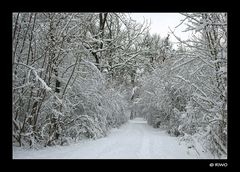 ein toller Weg.....