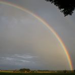 Ein Topf voller Gold am Ende des Regenbogens