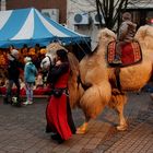 Ein Trampeltier in Merzig. :-)