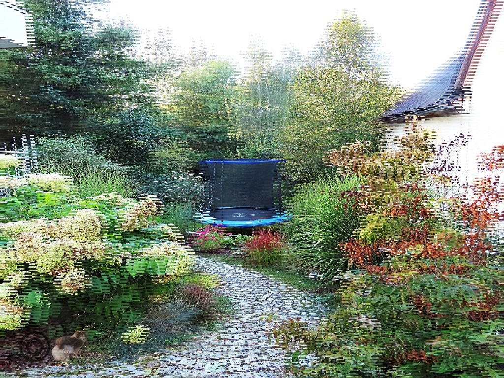 Ein Trampolin im Garten....