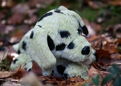 Ein trauernder Hund auf dem Friedhof Ohlsdorf
