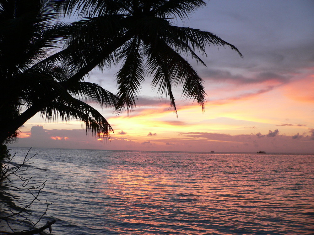 Ein Traum auf Vilamendhoo