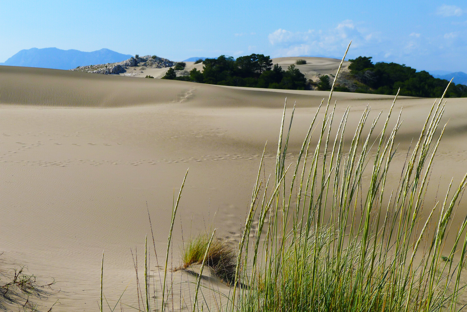 ein Traum aus Sand