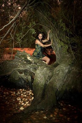 Ein Traum. Habe die Waldfee gefunden.