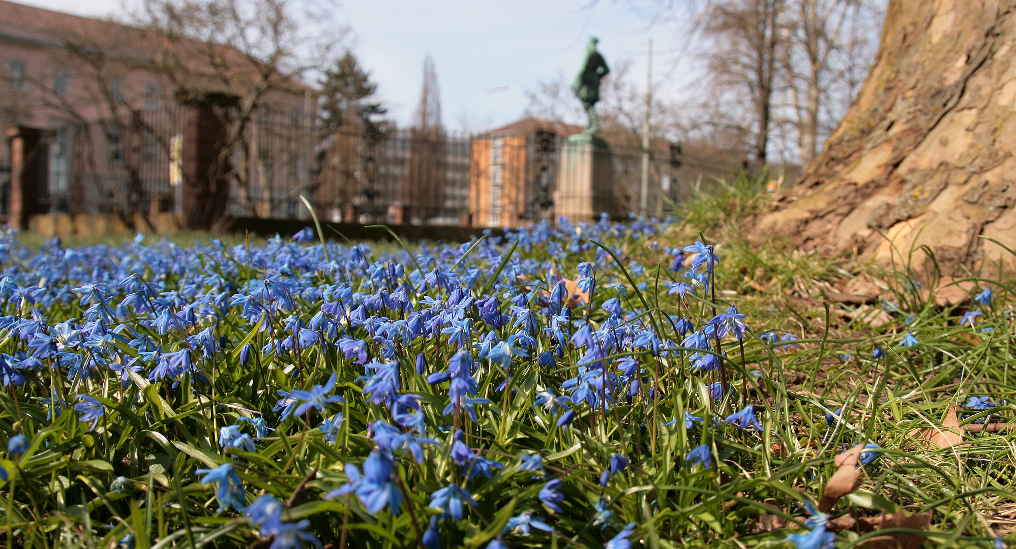 Ein Traum in Blau