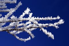 Ein Traum in Blau-Weiss