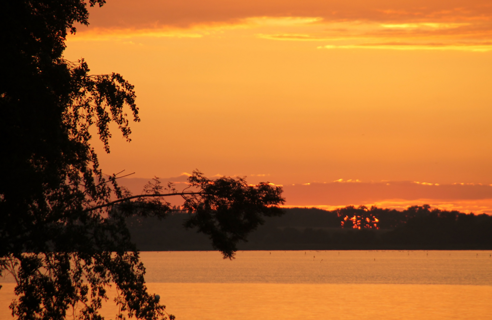 Ein Traum in orange