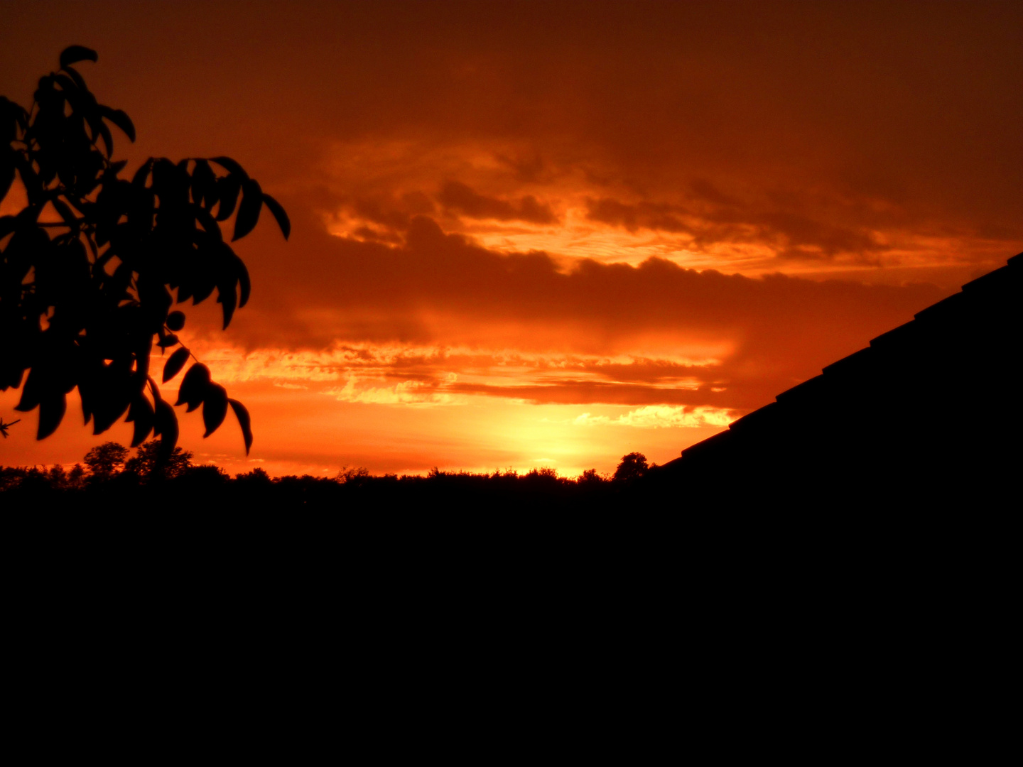 ein traum in orange