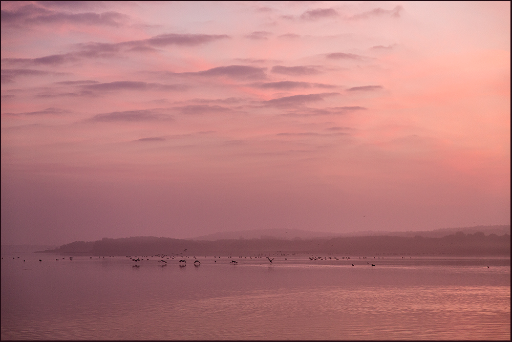 Ein Traum in Rosa...