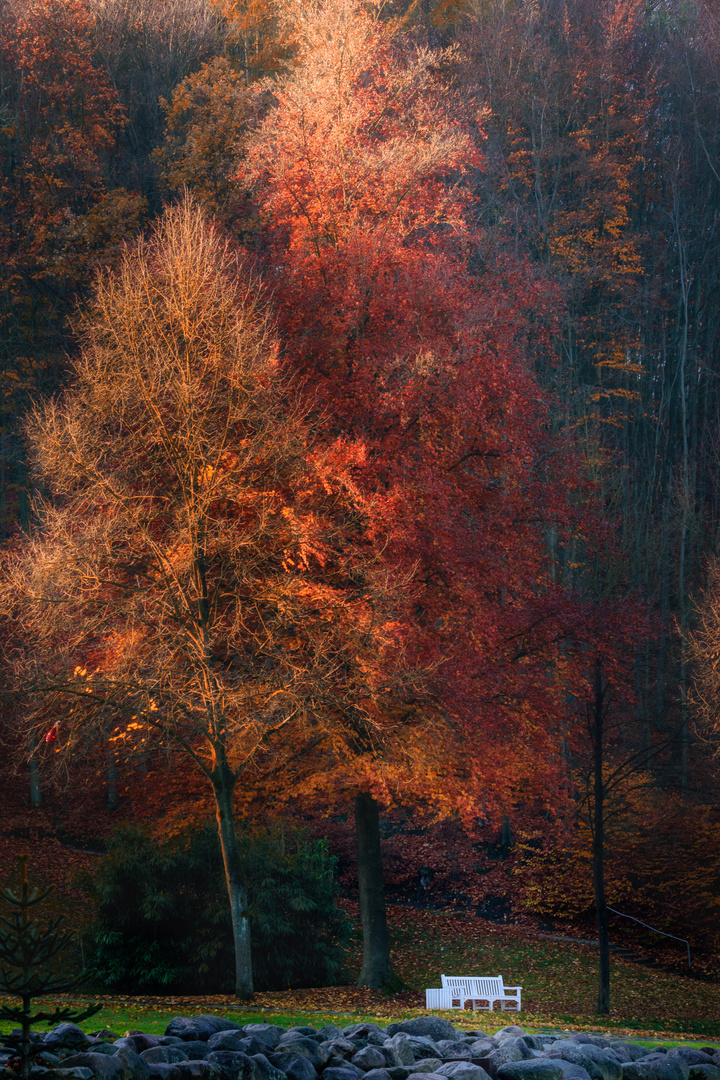 Ein Traum in Rot