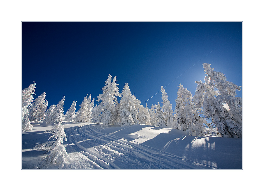 Ein Traum in Weiß und Blau II