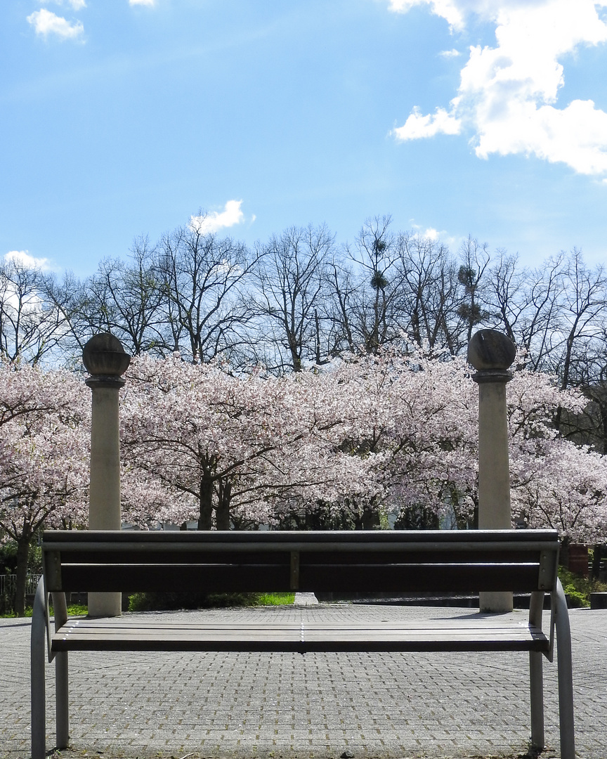 Ein Traum in Weiß und Rosa