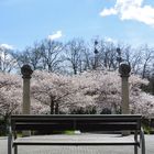 Ein Traum in Weiß und Rosa