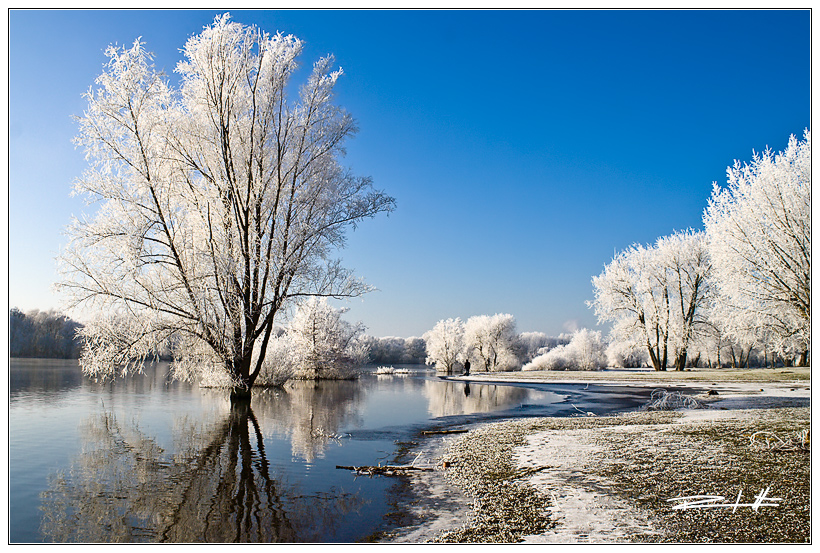 Ein Traum vom Winter - Ölper See in Braunschweig