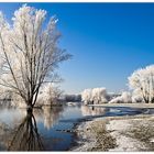 Ein Traum vom Winter - Ölper See in Braunschweig