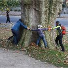 Ein Traum von einem Baum