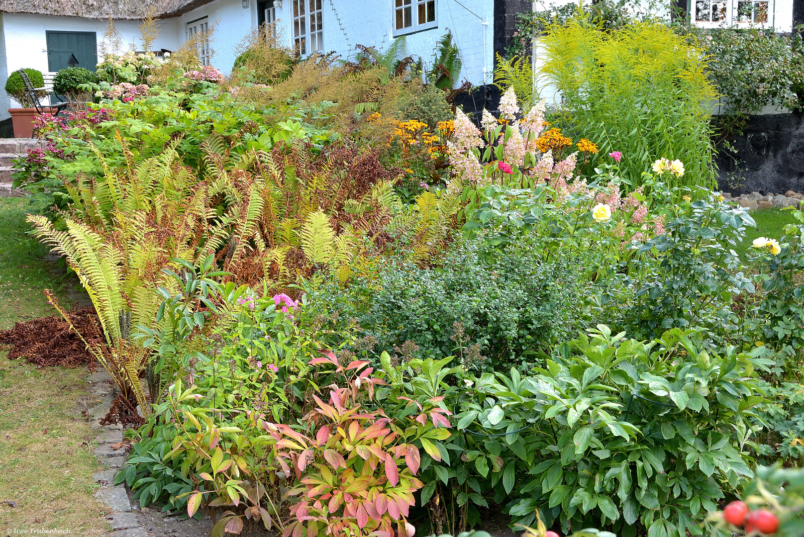 Ein Traum von einem Garten