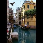 Ein Traum von Venedig