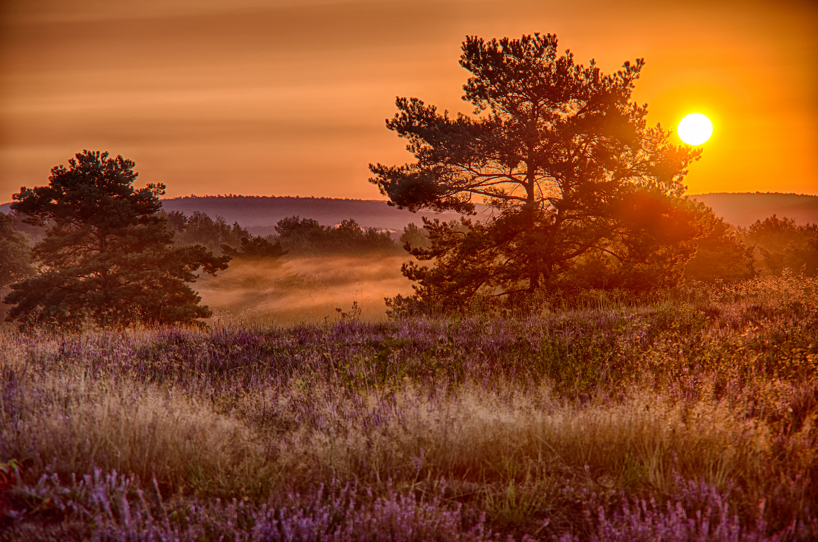Ein Traumhaft Schoner Morgen Foto Bild Landschaft Jahreszeiten Sommer Bilder Auf Fotocommunity