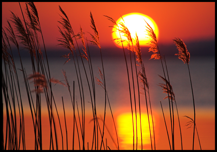 Ein traumhafter Abend am See..