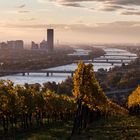 Ein traumhafter Morgen in Wien