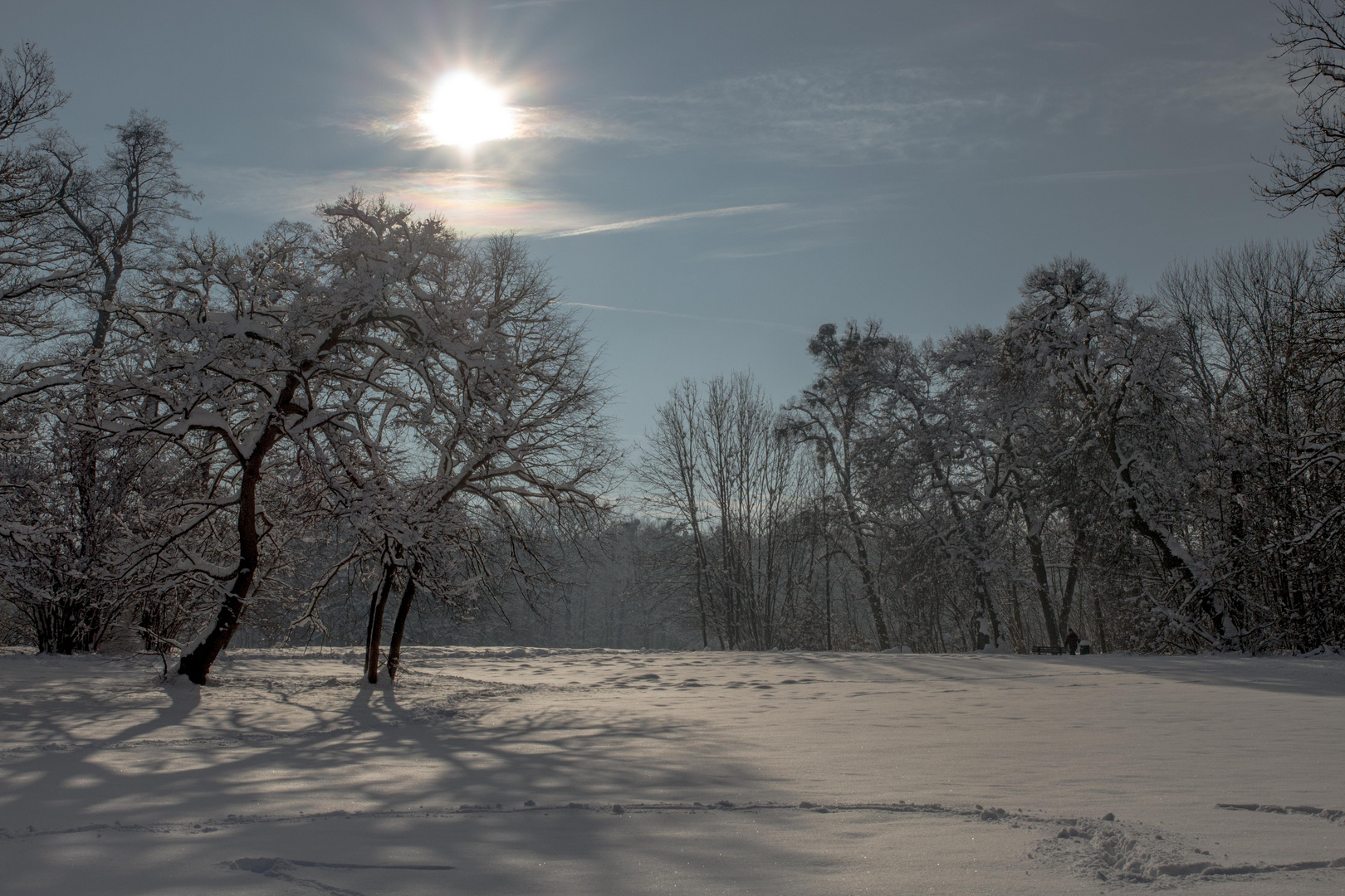 Ein traumhafter Wintertag