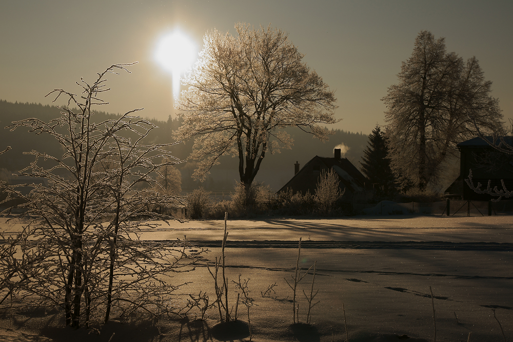 ein traumhafter Wintertag