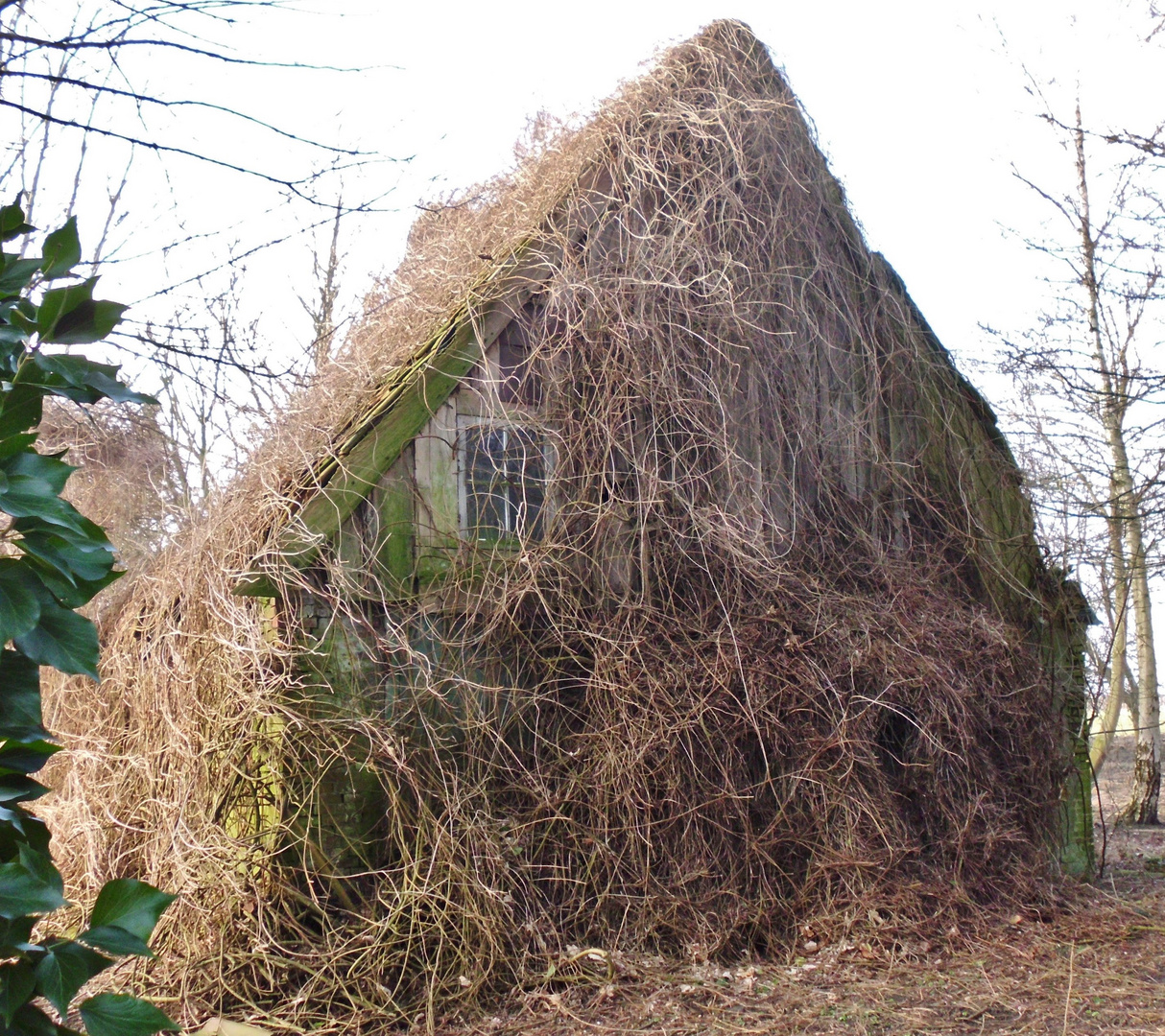 Ein Traumhaus in Kollmar